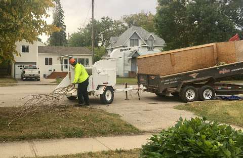 Boyle's Tree Removal